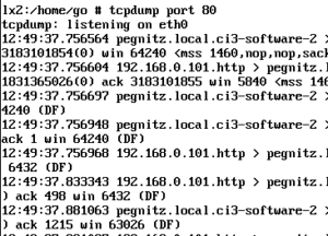 Tcpdump Ausgabe