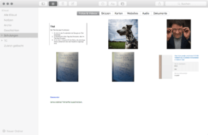 Bilderübersicht in Apples Notizen App