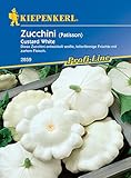 Kiepenkerl 2859 Zucchini Custard White, entwickelt weiße tellerförmige Früchte mit zartem...
