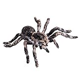 FLORMOON Spinne Spielzeug - Realistische Tierfiguren Spinne Aktionsmodell Lebensecht Insekt...