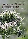 Wesen und Signatur der Heilpflanzen: Die Gestalt als Schlüssel zur Heilkraft der Pflanzen